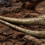 Descubren en Norfolk una rara trompeta de guerra celta que arroja luz sobre rituales y tecnología de la Edad del Hierro