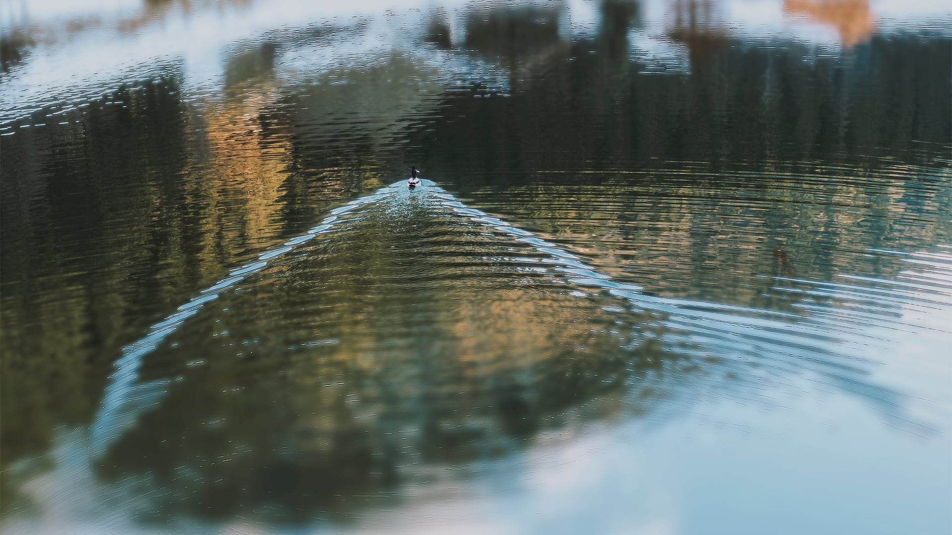 La investigación revela que los acuíferos de la llanura pampeana contienen predominantemente aguas de entre 10 y 50 años de antigüedad/Freepik