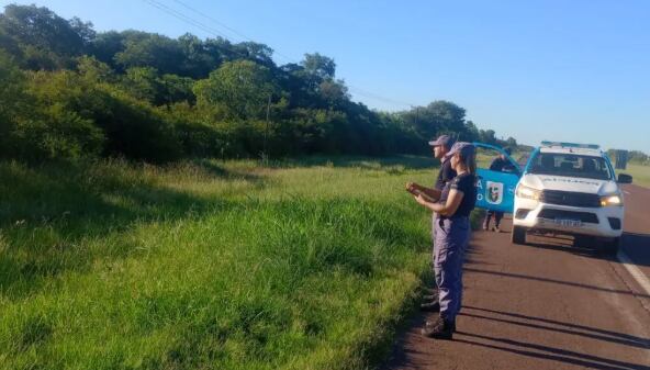 Hallaron un cadáver a la vera de la ruta 16 en Puerto Tirol, Chaco (InfoQuom)