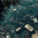 El inesperado vínculo entre los nanoplásticos y la persistencia de virus y bacterias en el agua potable