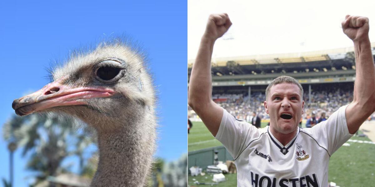 Gascoigne llevó una avestruz al entrenamiento del Tottenham para sorprender a sus compañeros y demostrar que era un 