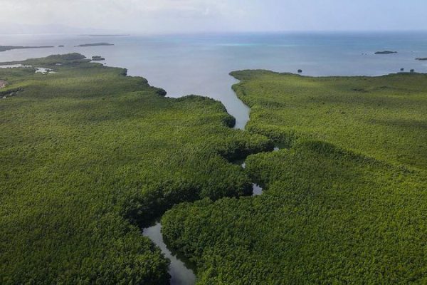En qué lugar de la Argentina hay humedales que retienen microplásticos y cuidan el ecosistema