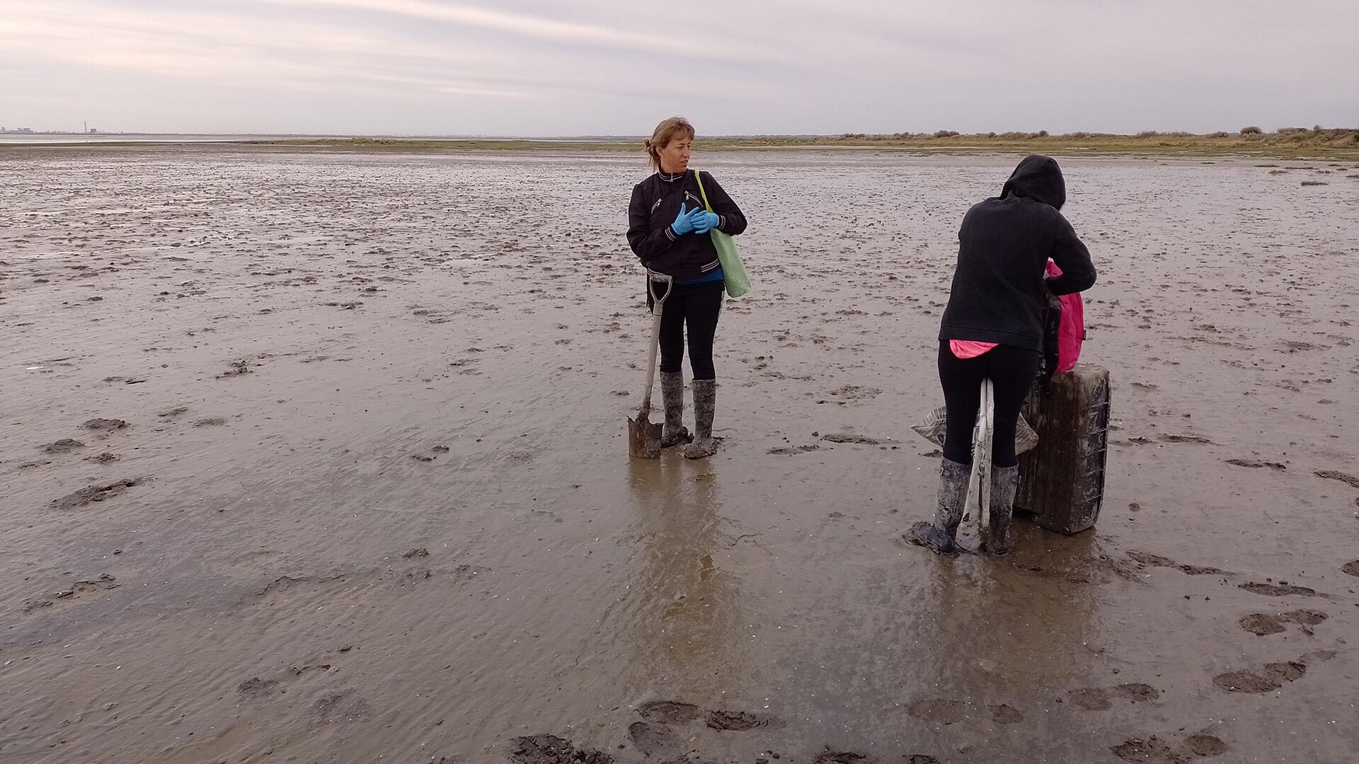 Las investigadoras consideran que conservar y restaurar marismas costeras puede ser clave para reducir la contaminación por microplásticos en ambientes urbanos y portuarios/ Créditos: IADO (Conicet -UNS)