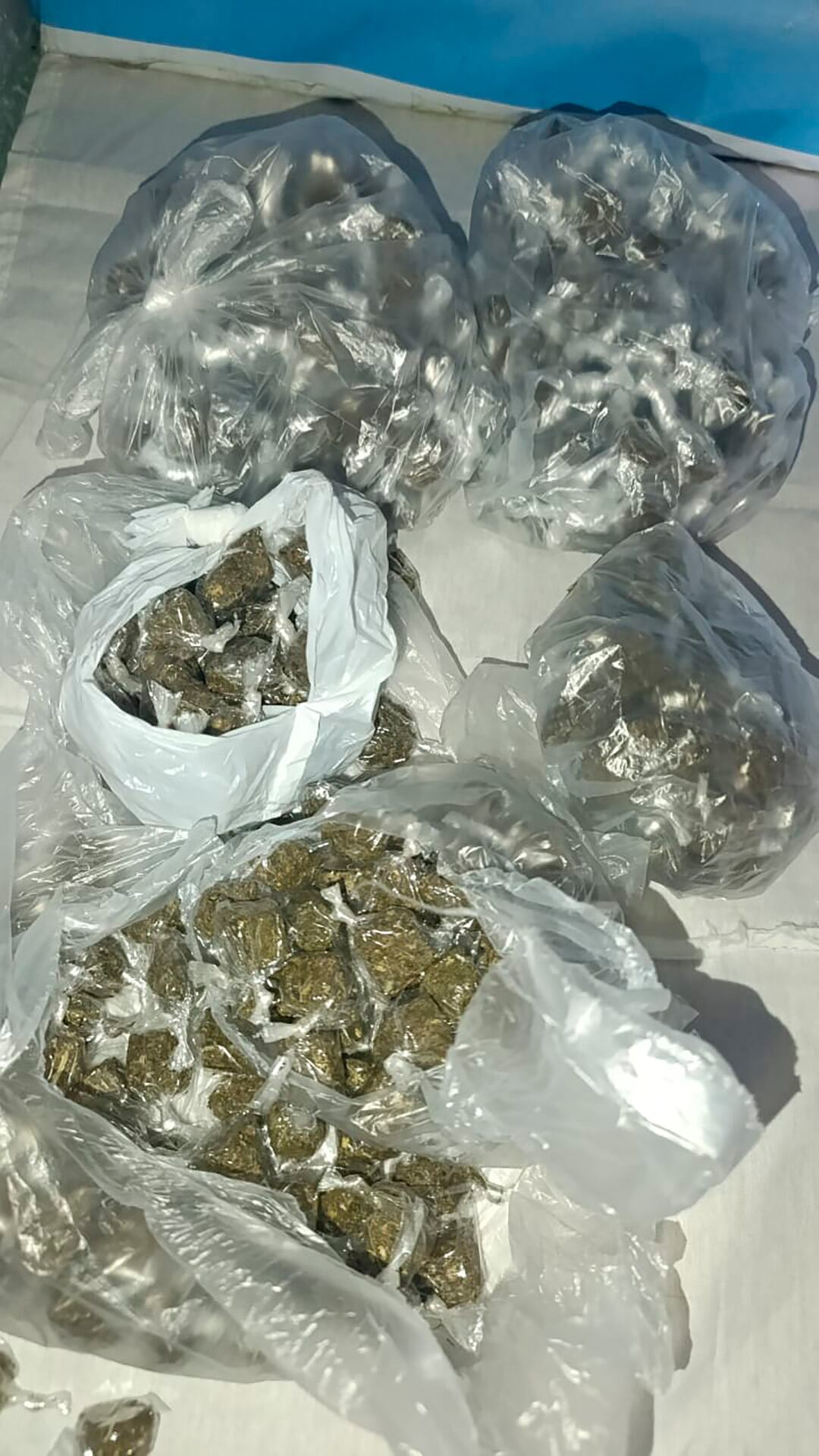 Parte de la droga hallada en los allanamientos