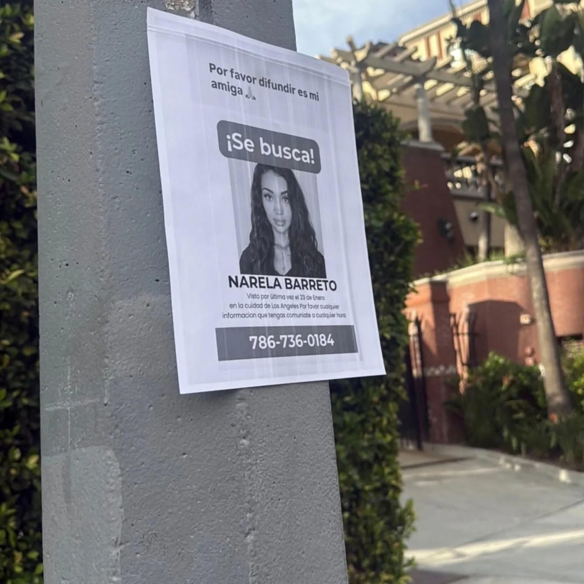 El cartel de búsqueda que habían colocado en la ciudad (Fotos: @ayelen_priiii)