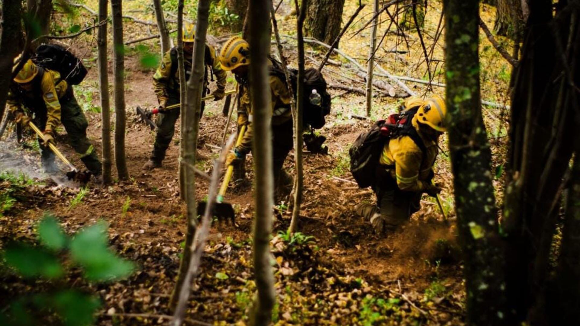 Los trabajos de quienes combaten el fuego en el Parque Nacional Los Alerces
