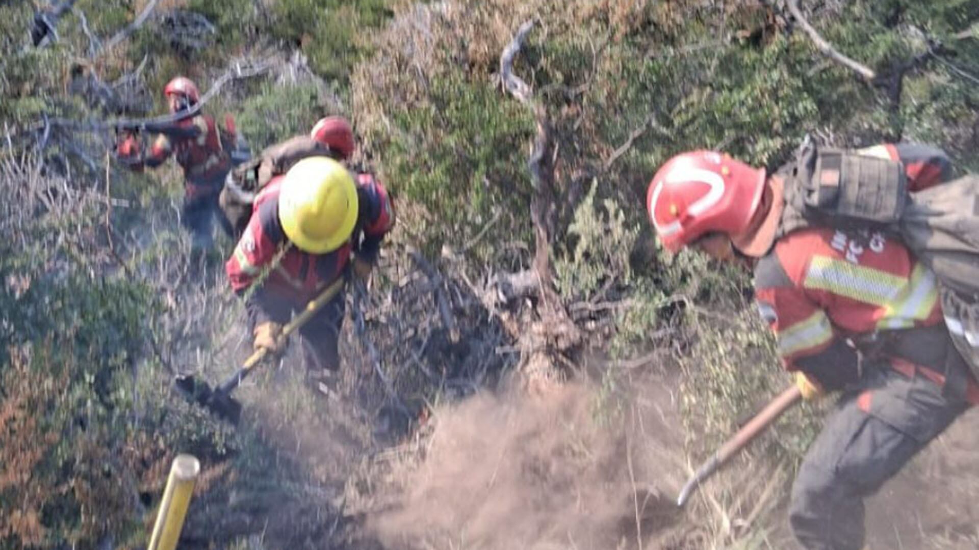 El trabajo de los brigadistas en Chubut mientras las llamas no dan tregua en el Parque Nacional Los Alerces (Servicio Provincial de Manejo del Fuego) 