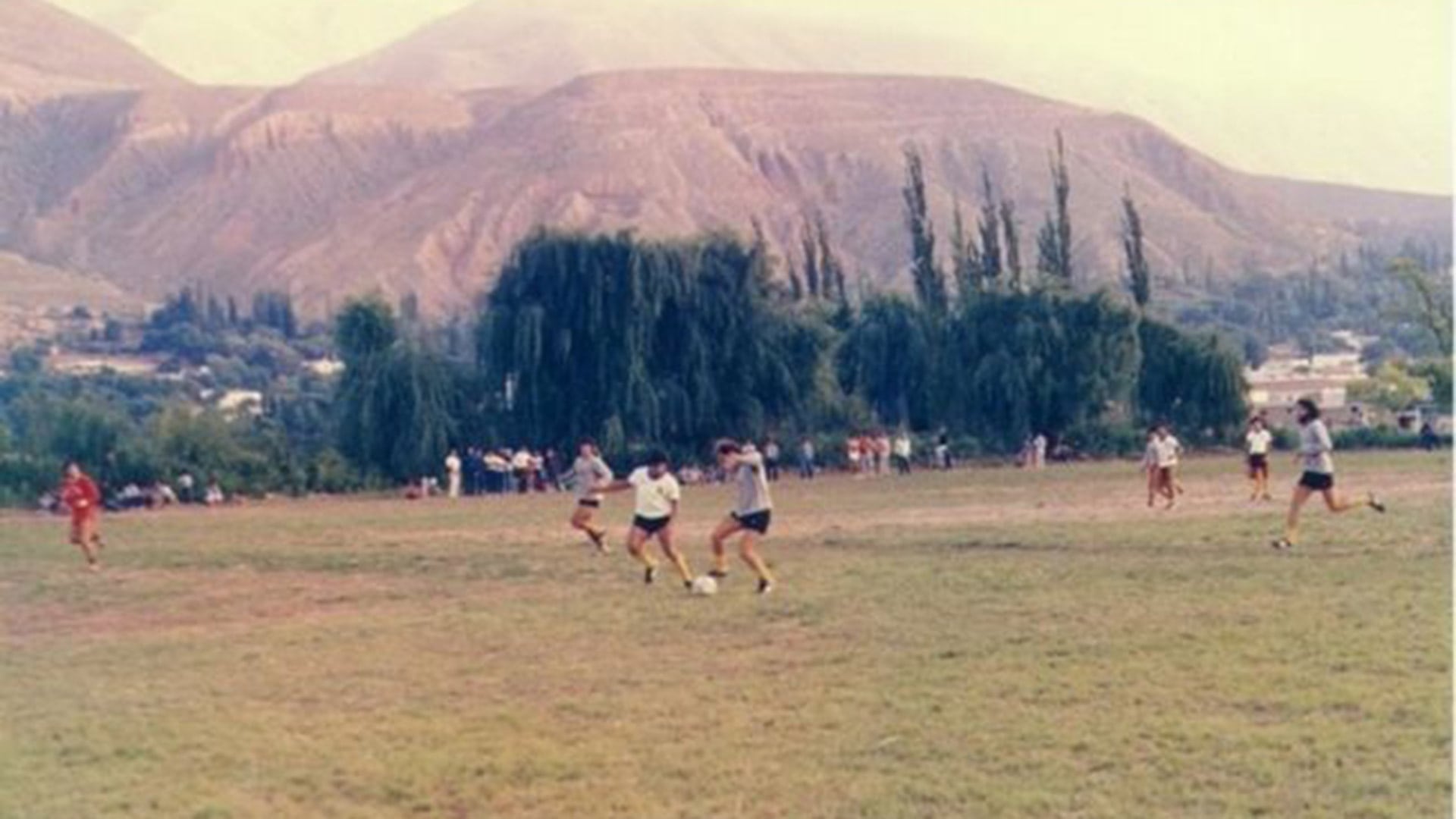 Bochini maniobrando en el marco del paisaje de Tilcara
