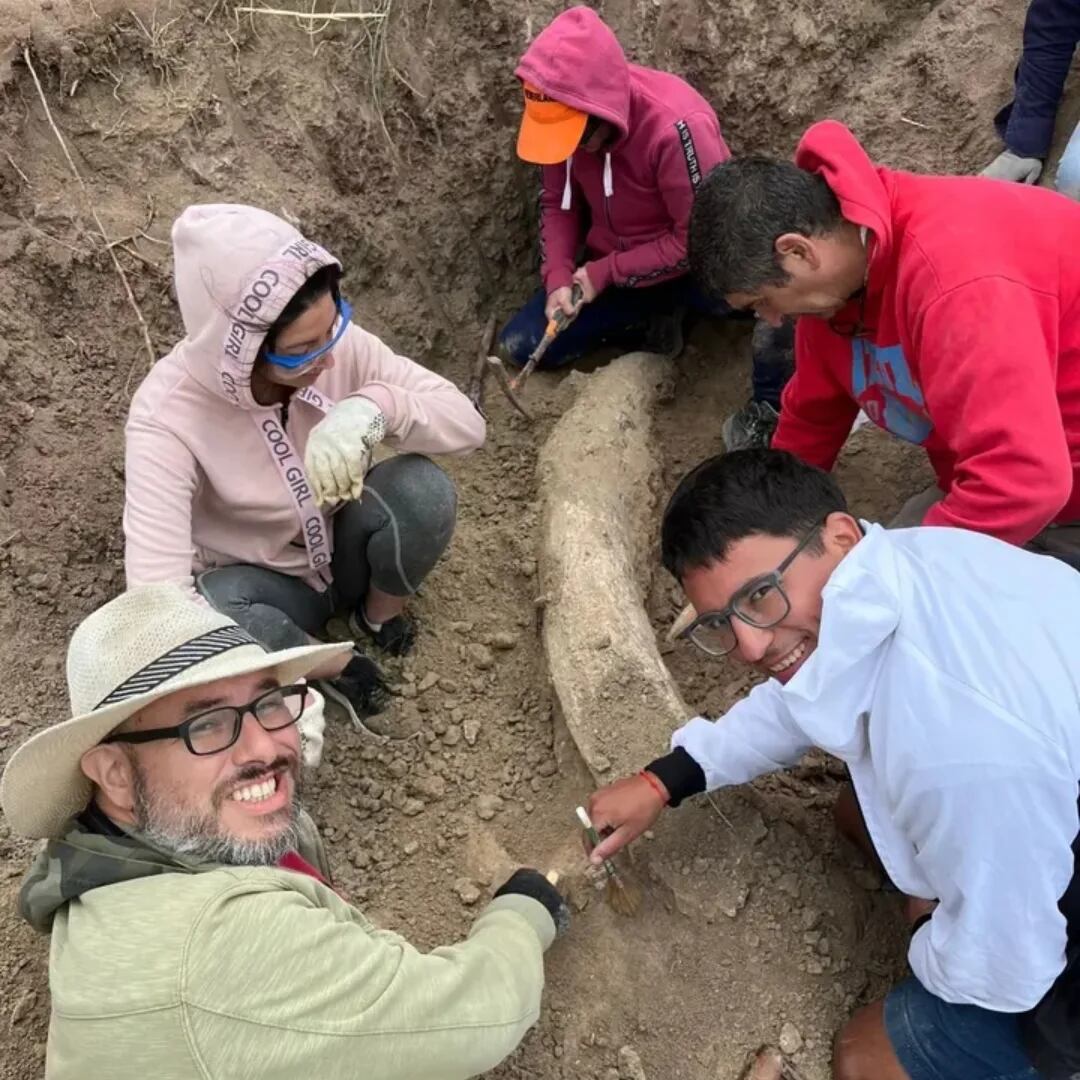 El equipo del Museo Municipal de Ciencias Naturales de Miramar lideró la excavación junto a voluntarios y especialistas de Mar del Plata (Museo de Ciencias Naturales de Miramar)