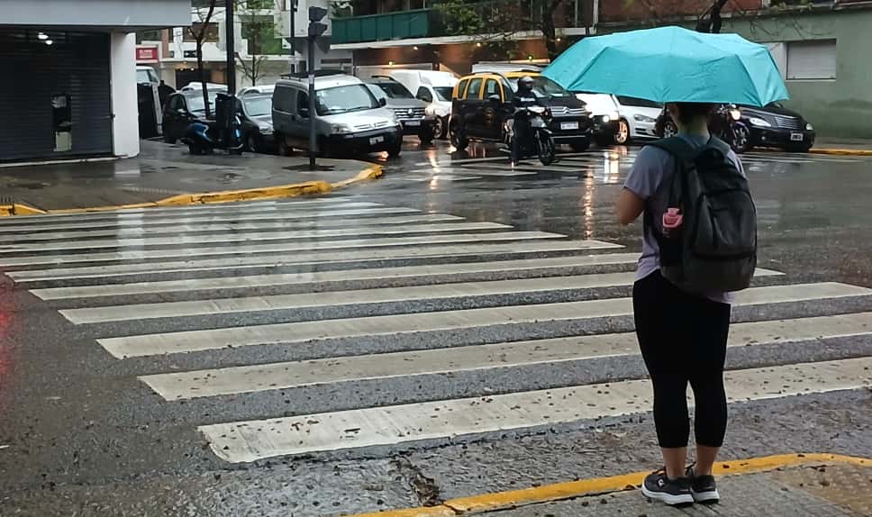 Alerta por fuertes vientos en el AMBA y probabilidades de lluvia en el inicio del fin de semana (Fotografía: Maximiliano Luna)