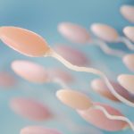 Identifican una transformación clave en el ARN del esperma relacionado con la edad paterna