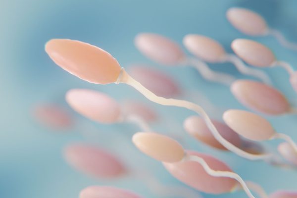 Identifican una transformación clave en el ARN del esperma relacionado con la edad paterna