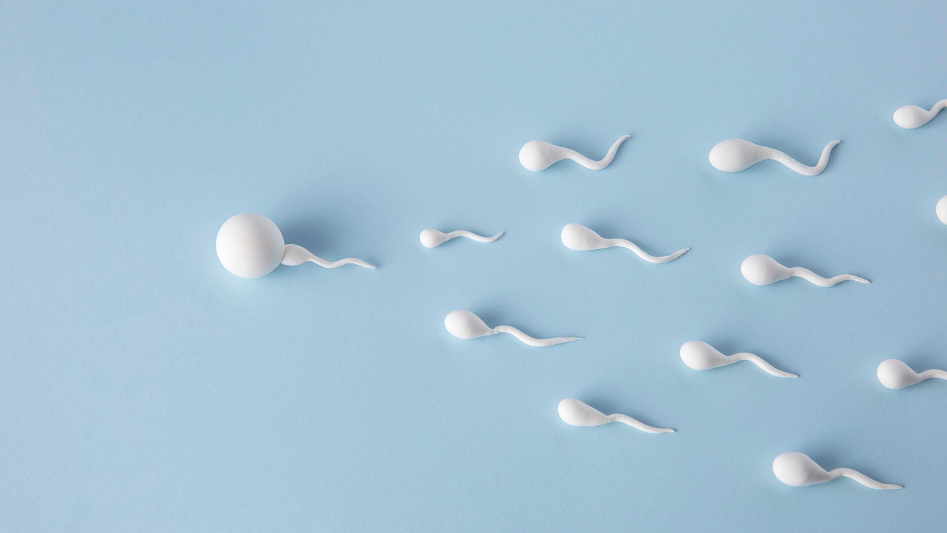 Gracias a la técnica PANDORA-seq, los expertos lograron analizar ARN antes oculto. Detectaron cambios bruscos en su composición en ratones y humanos (Freepik)