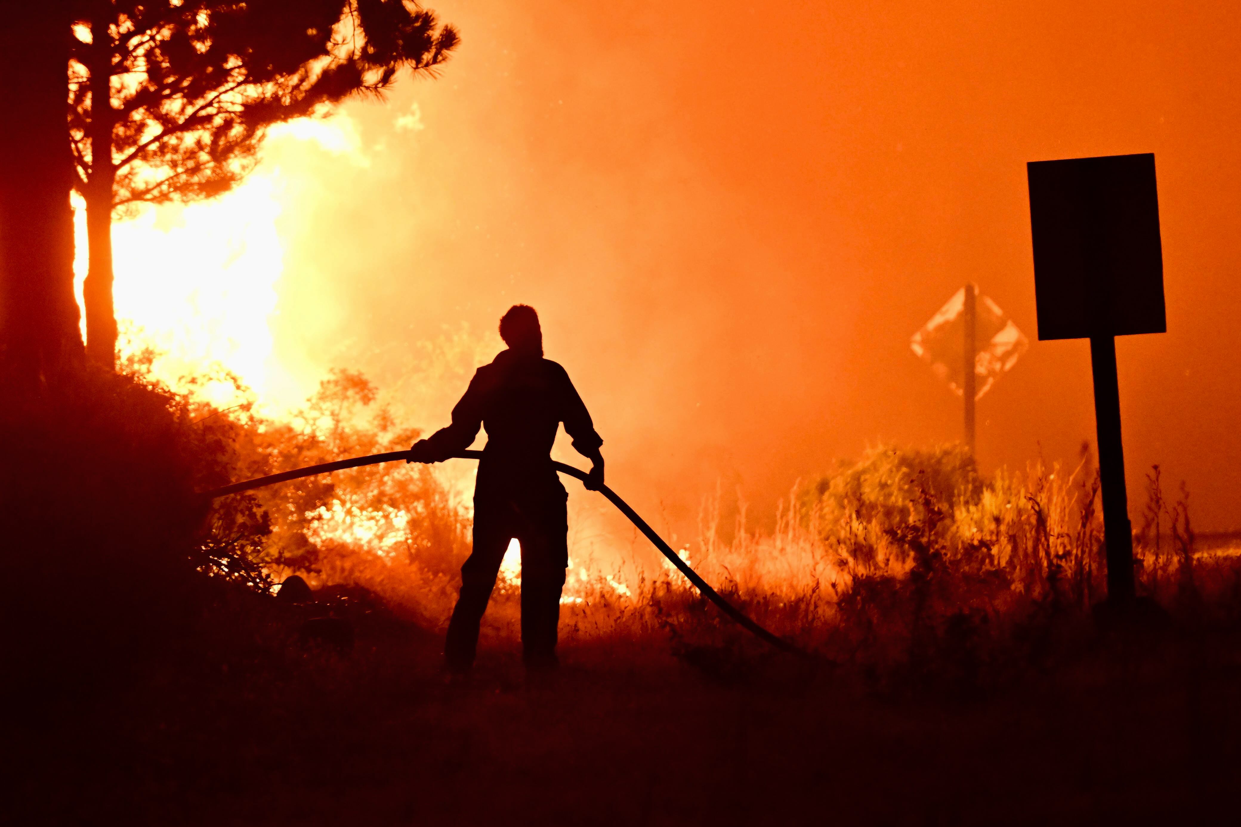 El fiscal afirmó que se utilizaron acelerantes para iniciar el fuego que terminó en el desastre forestal (Photo by Martin LEVICOY / AFP)