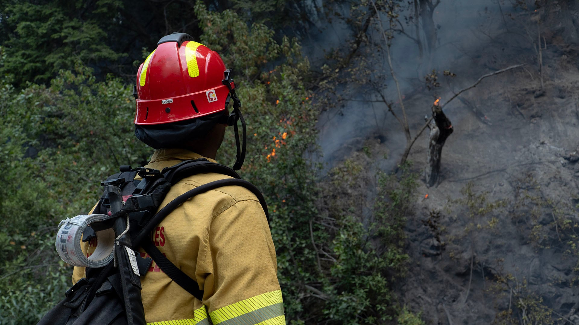 El operativo de combate contra el incendio en la Patagonia reúne más de 550 personas y refuerzos aéreos en una acción coordinada