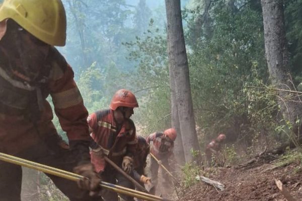 Incendios en Chubut: siguen evacuando a familias y las condiciones meteorológicas complican a los brigadistas