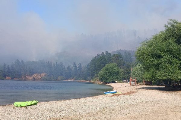 Incendios en Chubut: Torres afirmó que el fuego fue intencional y buscan a los responsables