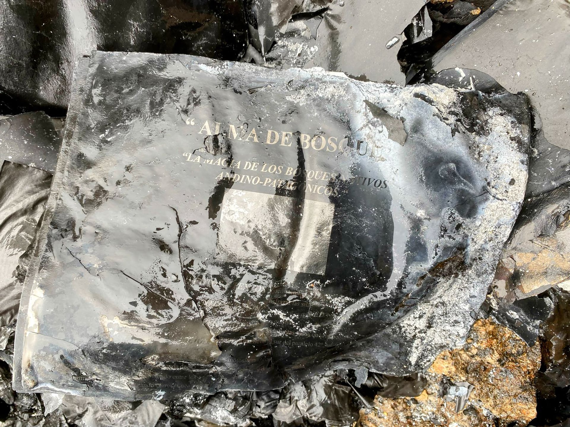 El padre de Rocío, perdió su archivo fotográfico