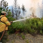 Incendios en la Patagonia: aplicaron multas de hasta $6 millones a personas que encendieron fogatas en zonas prohibidas