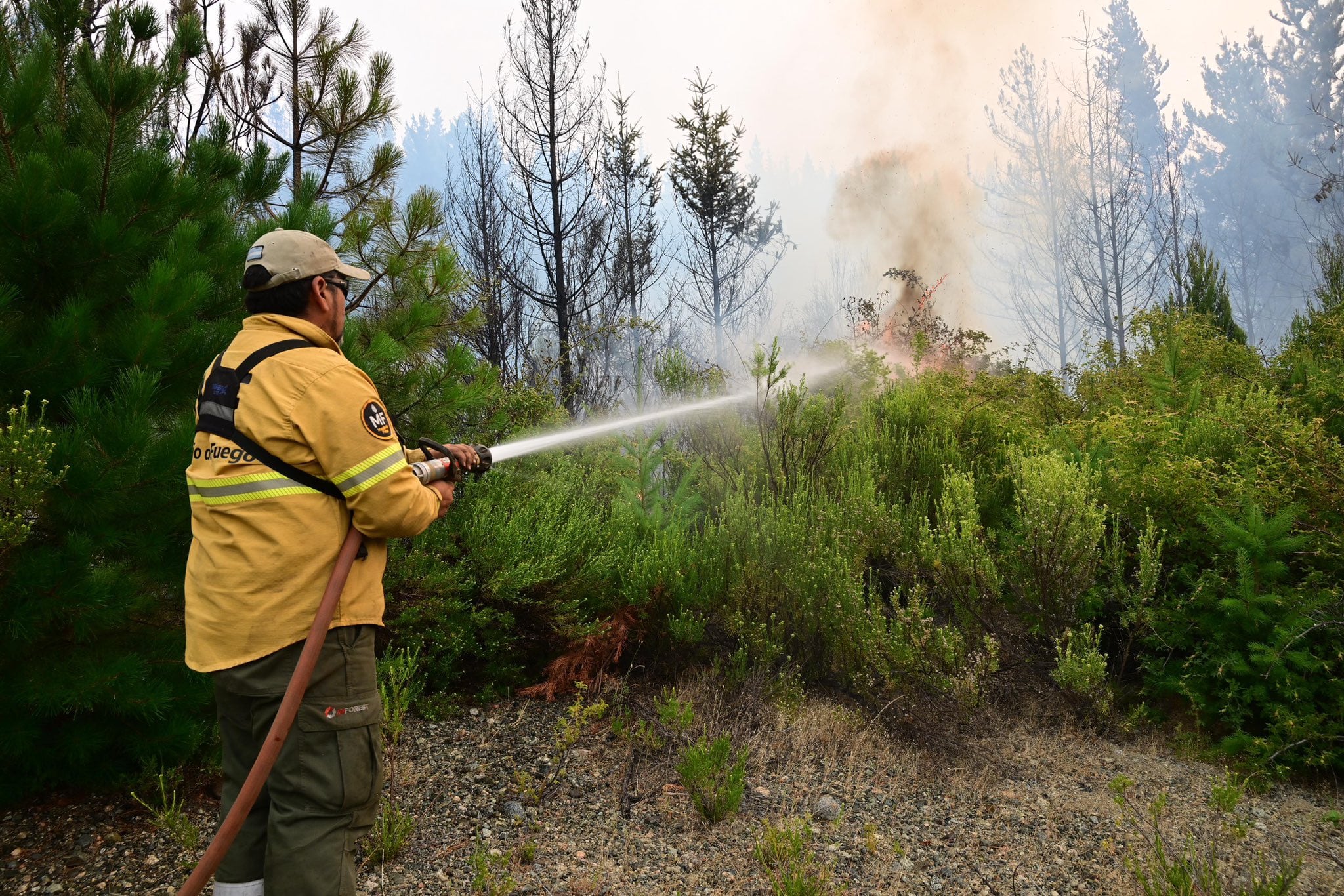 Más de 10.000 hectáreas del Parque Nacional Los Alerces resultaron afectadas, con impactos devastadores en bosques, biodiversidad y actividad turística