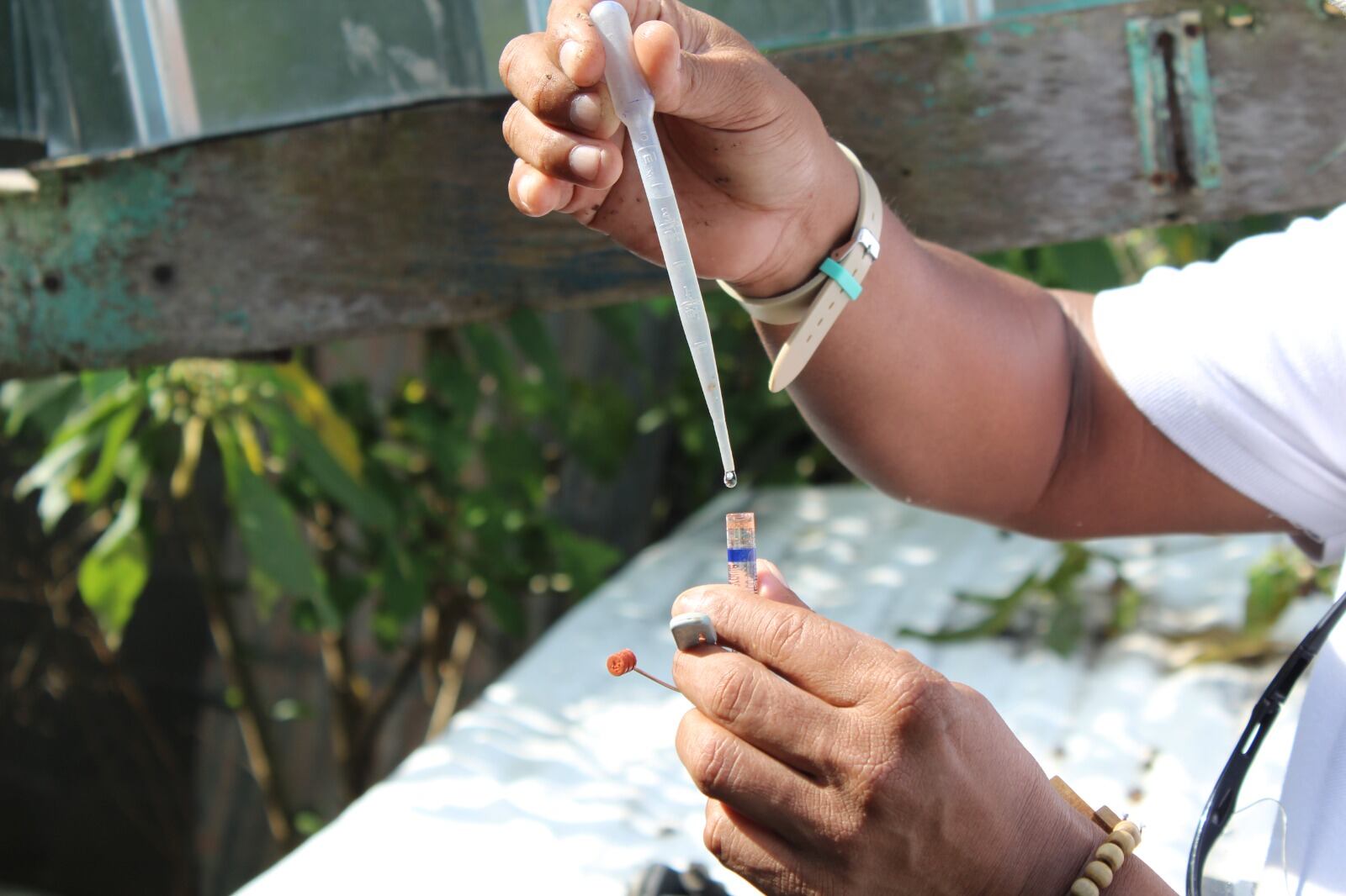 Influenza concentra las muertes al inicio de 2026 y eleva las alertas sanitarias en Panamá