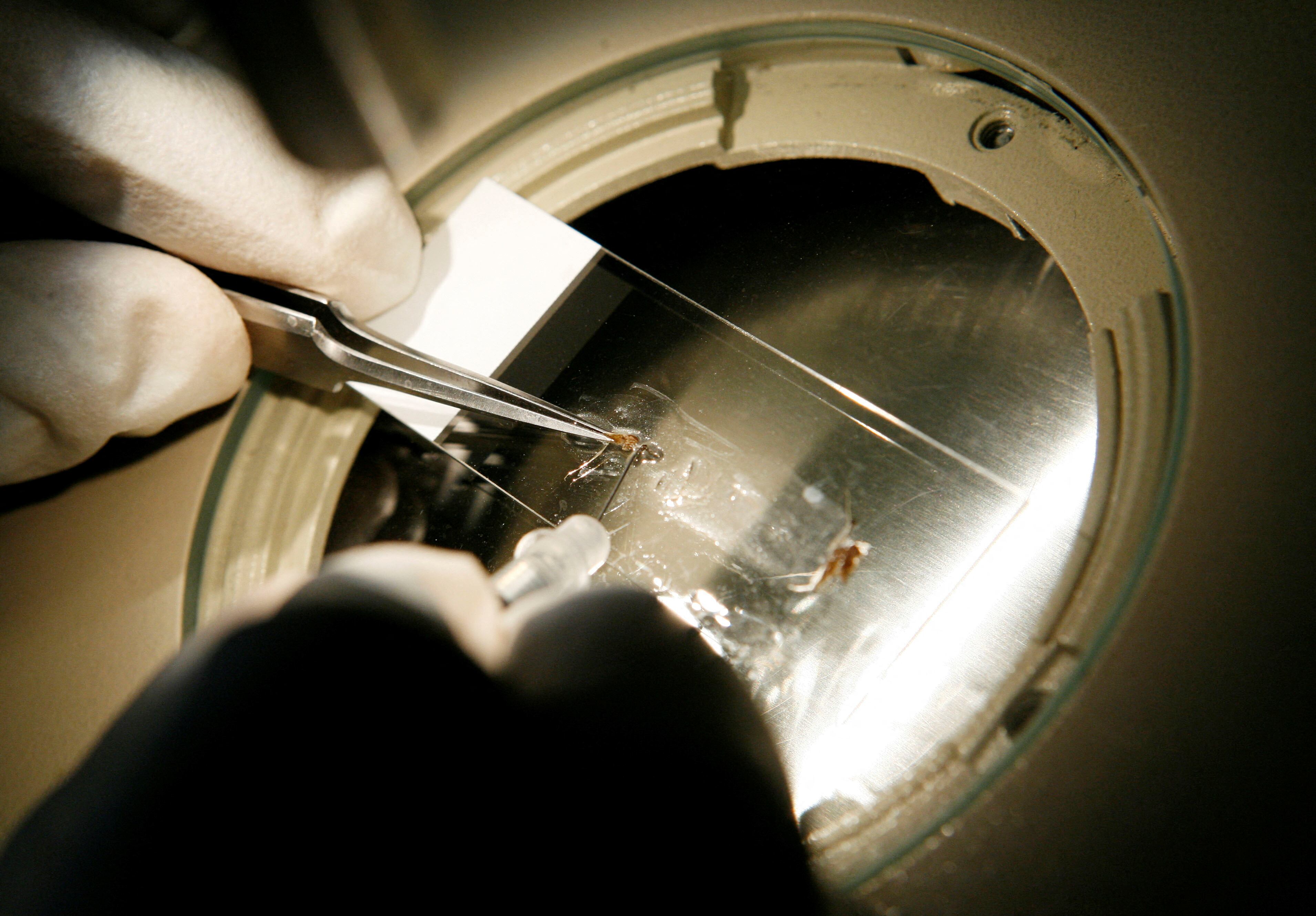 La malaria continúa siendo una de las infecciones más persistentes en Panamá. REUTERS/Jim Young/File Photo