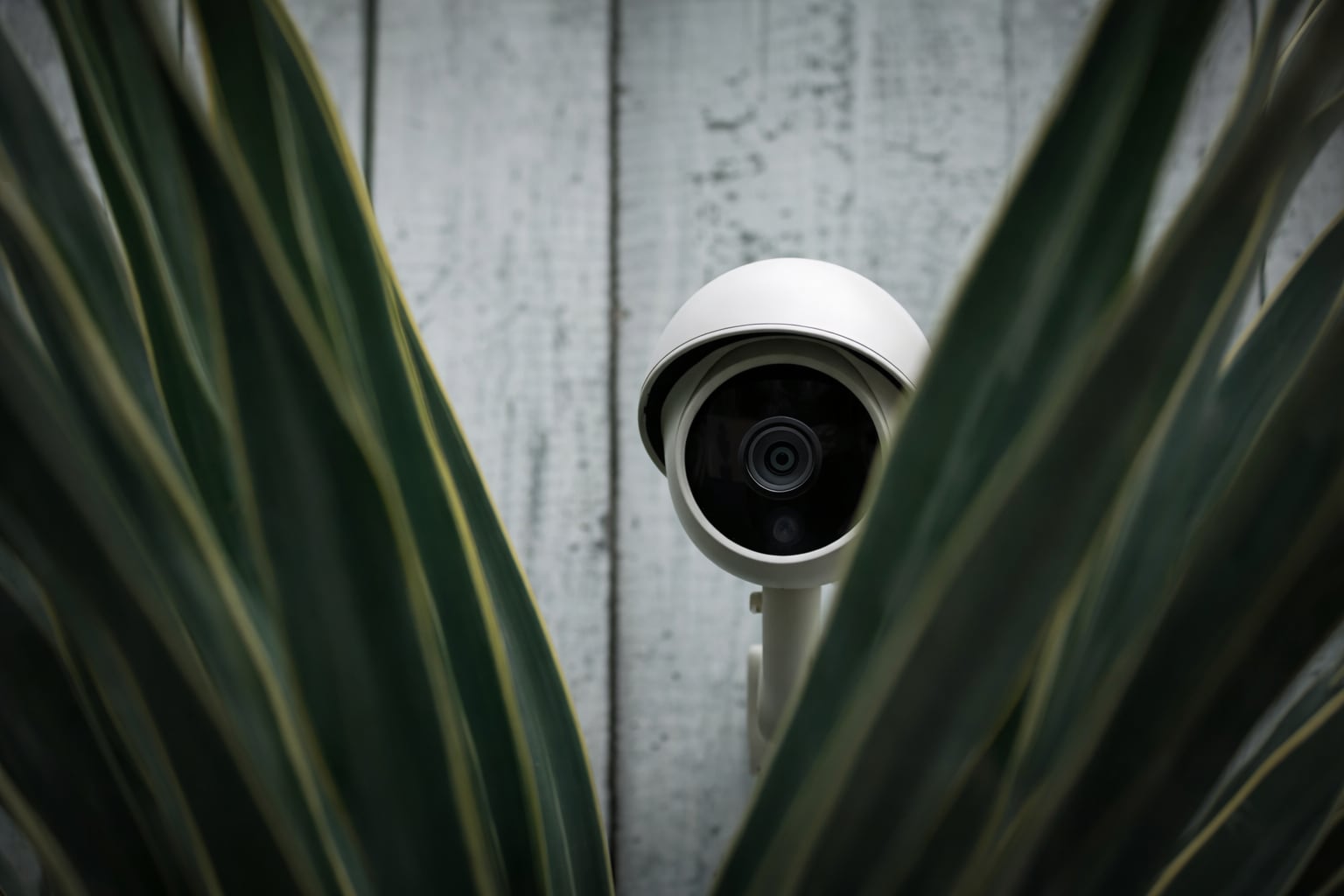 Instaló una cámara escondida en el baño y filmó a una nena de 10 años: los detalles del caso que conmociona a Francia