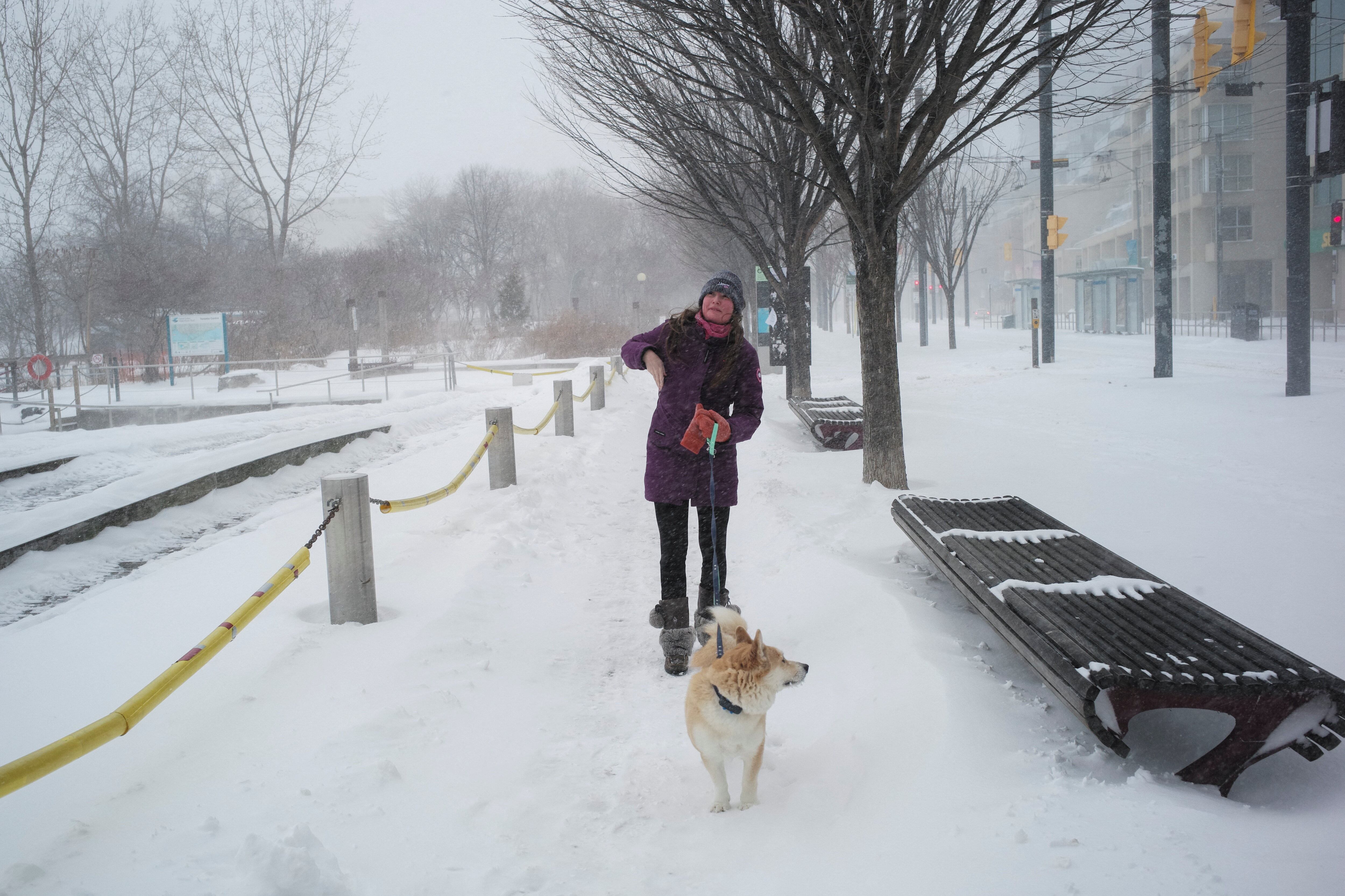 Una persona pasea a un perro durante una fuerte tormenta invernal en Toronto, Canadá, el 25 de enero de 2026 REUTERS/Wa Lone