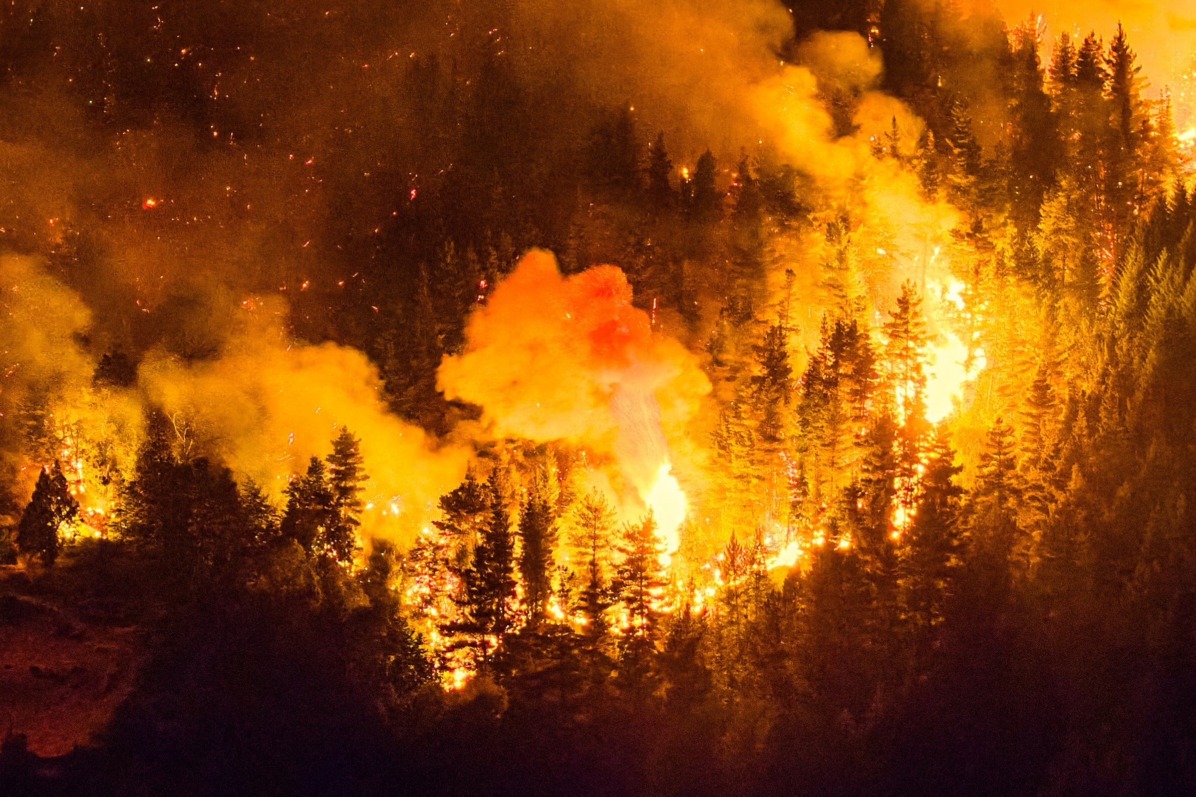 Los incendios en Chubut y otras áreas de la Patagonia ya dañaron más de 6.000 hectáreas y obligaron a evacuar a unas 3.000 personas (Photo by Martin LEVICOY / AFP)