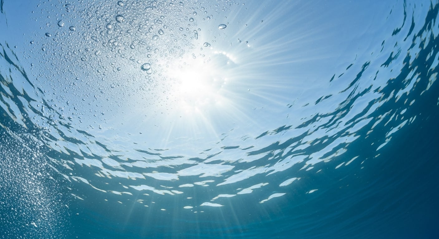 El 16% de la superficie oceánica mundial alcanzó máximos históricos de calor, mientras que un 33% se encontró entre los tres valores más altos desde que existen registros (Imagen Ilustrativa Infobae)