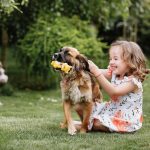 Los perros superdotados pueden aprender palabras escuchando conversaciones familiares, según muestran los experimentos