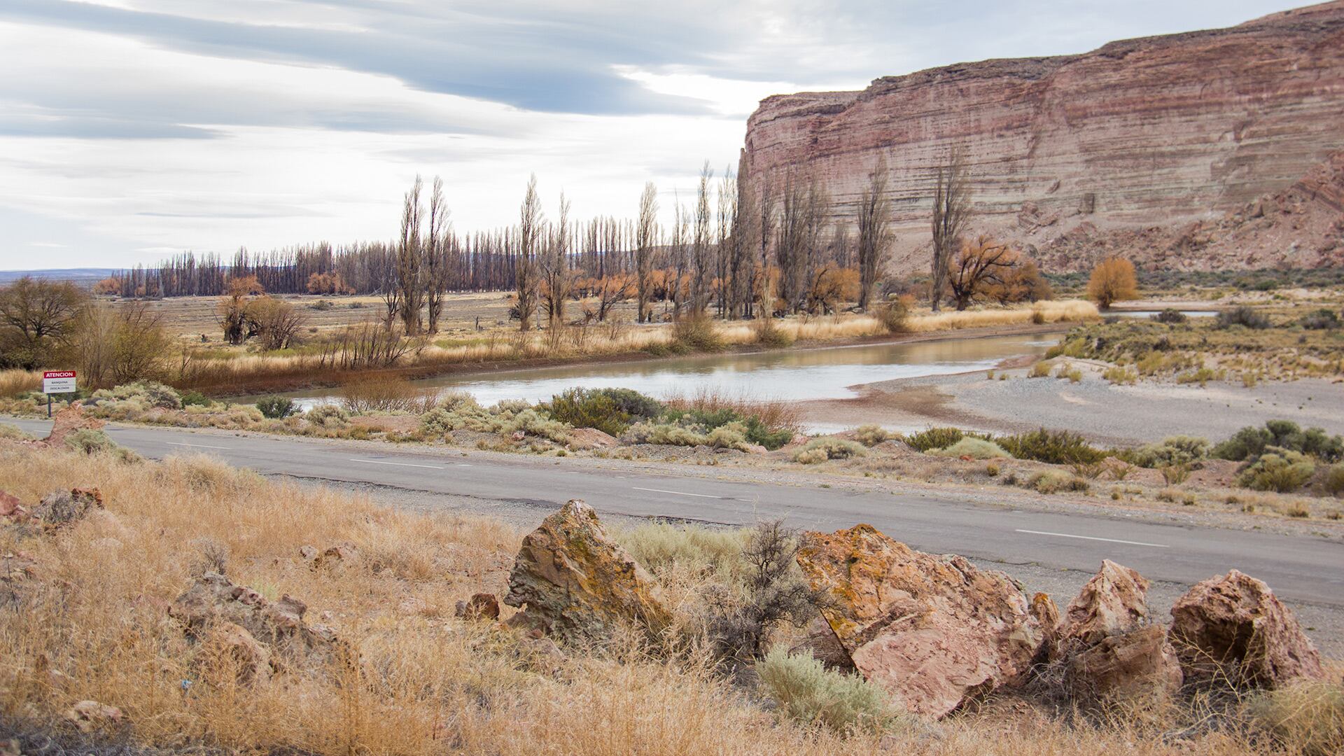 Científicos publicaron un libro sobre el “Valle Gondwana”, que es como una guía para descubrir paisajes, fósiles y volcanes que cuentan la historia profunda de la Patagonia argentina (Ignacio Escapa)