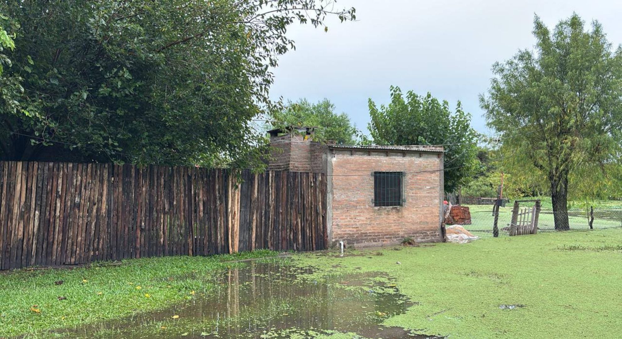 Varias zonas de la localidad quedaron tapadas por el agua (Facebook: Ñeca Francini)