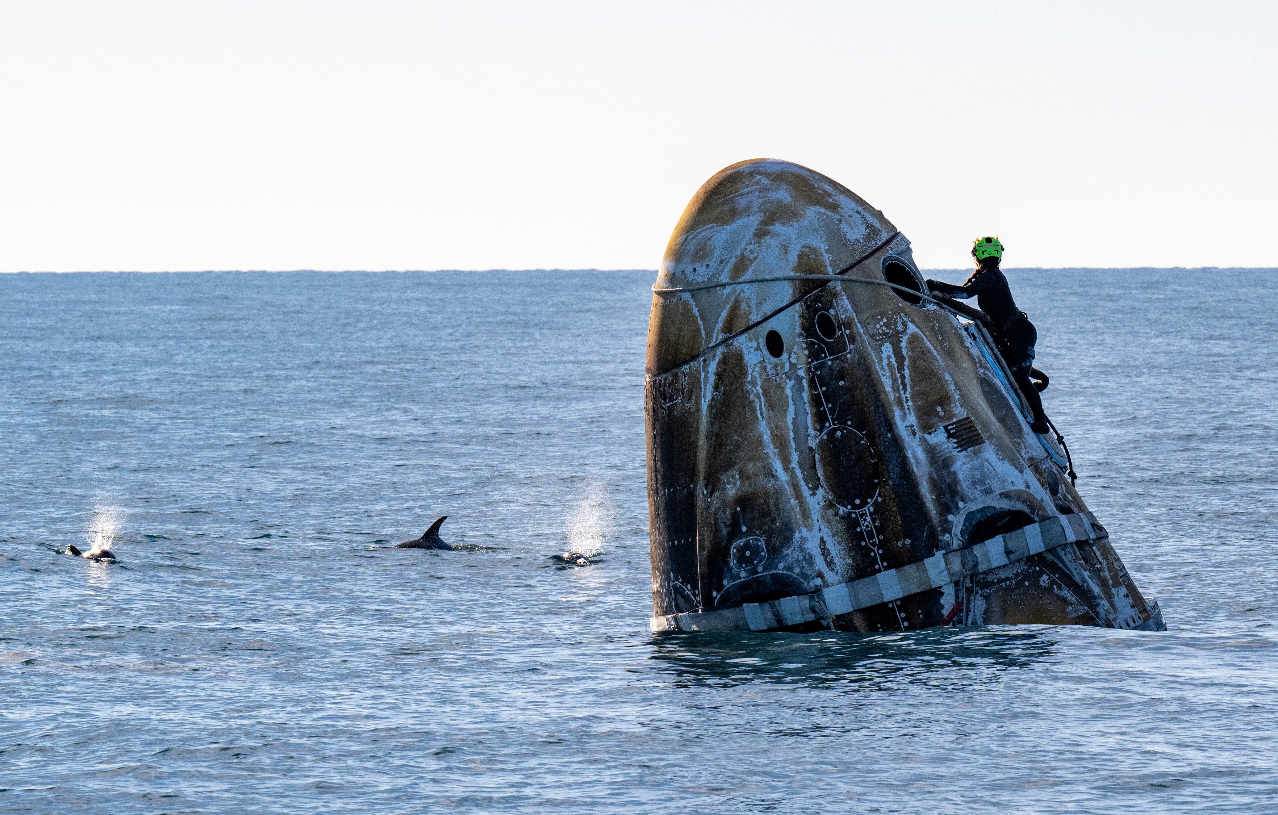 El amerizaje de la Crew Dragon esta previsto frente a la costa de California con apoyo de barcos de recuperacion de SpaceX (NASA/Keegan Barber/Handout via REUTERS)