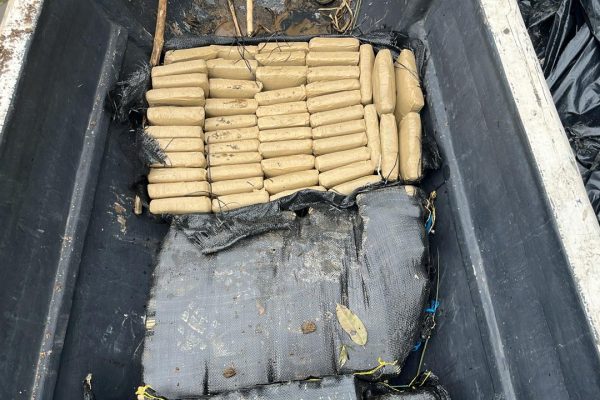 Operativo militar en Ecuador dejó pérdidas millonarias a las mafias del narcotráfico en la frontera norte