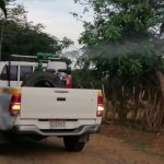 Panamá reduce a la mitad los casos y muertes por dengue en 2025