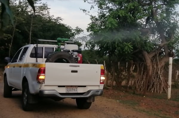 Panamá reduce a la mitad los casos y muertes por dengue en 2025