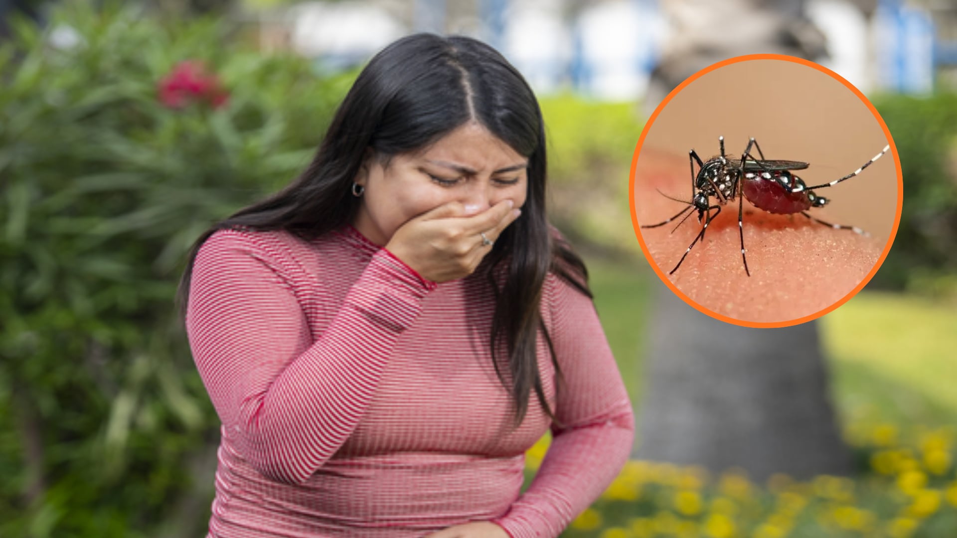 El dengue es una enfermedad viral transmitida por el mosquito Aedes aegypti y suele causar fiebre alta, dolor de cabeza, dolor detrás de los ojos, dolores musculares, náuseas y vómitos. Foto: Composición Infobae Perú/EsSalud