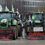 Paraguay prevé duplicar las exportaciones forestales con el acuerdo entre la Unión Europea y el Mercosur