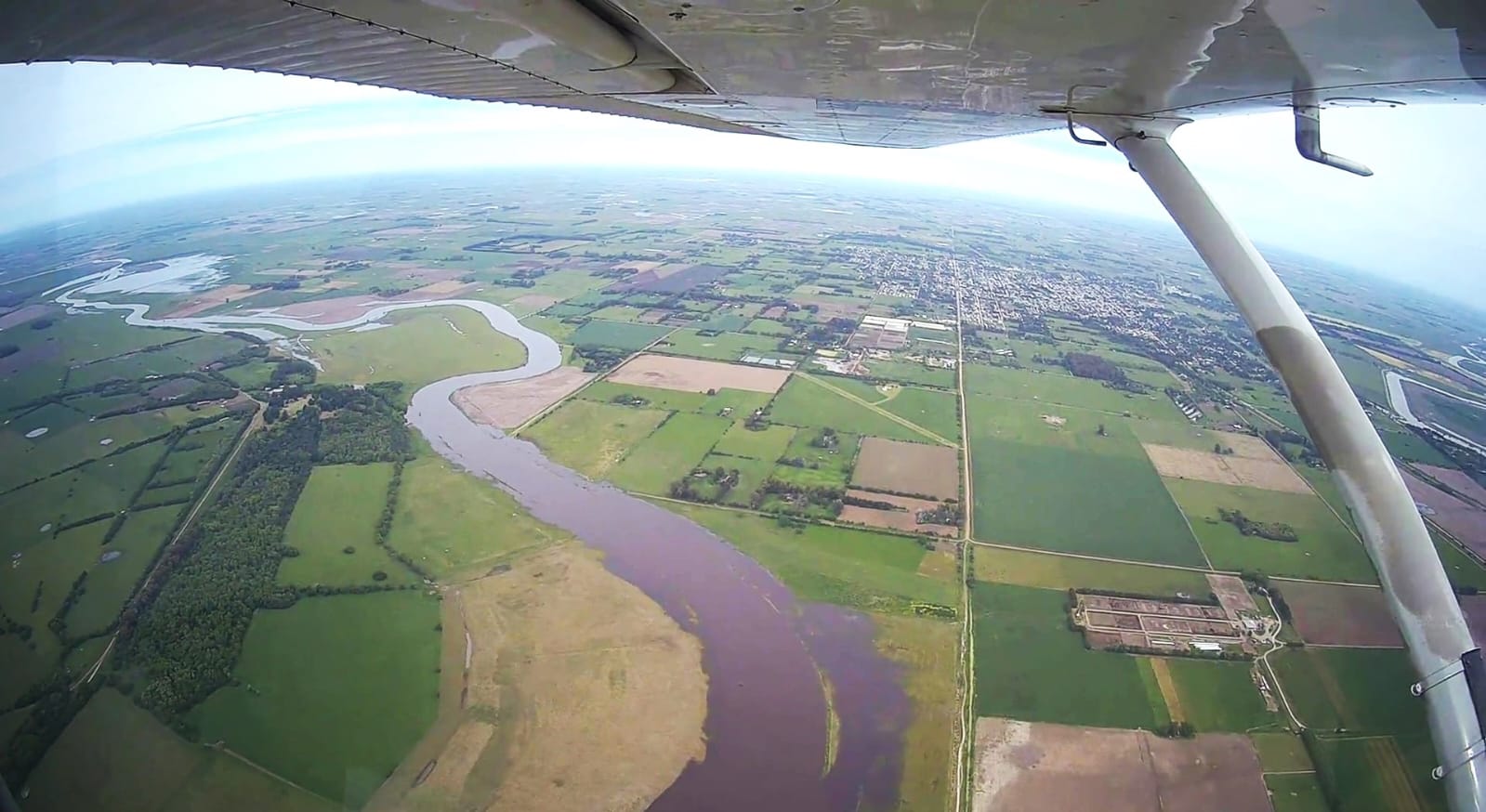 La cuenca del Salado registra una proliferación inusual de barigüí durante el verano por el aumento del caudal de ríos y las lluvias intensas (Claudio Velazco)
