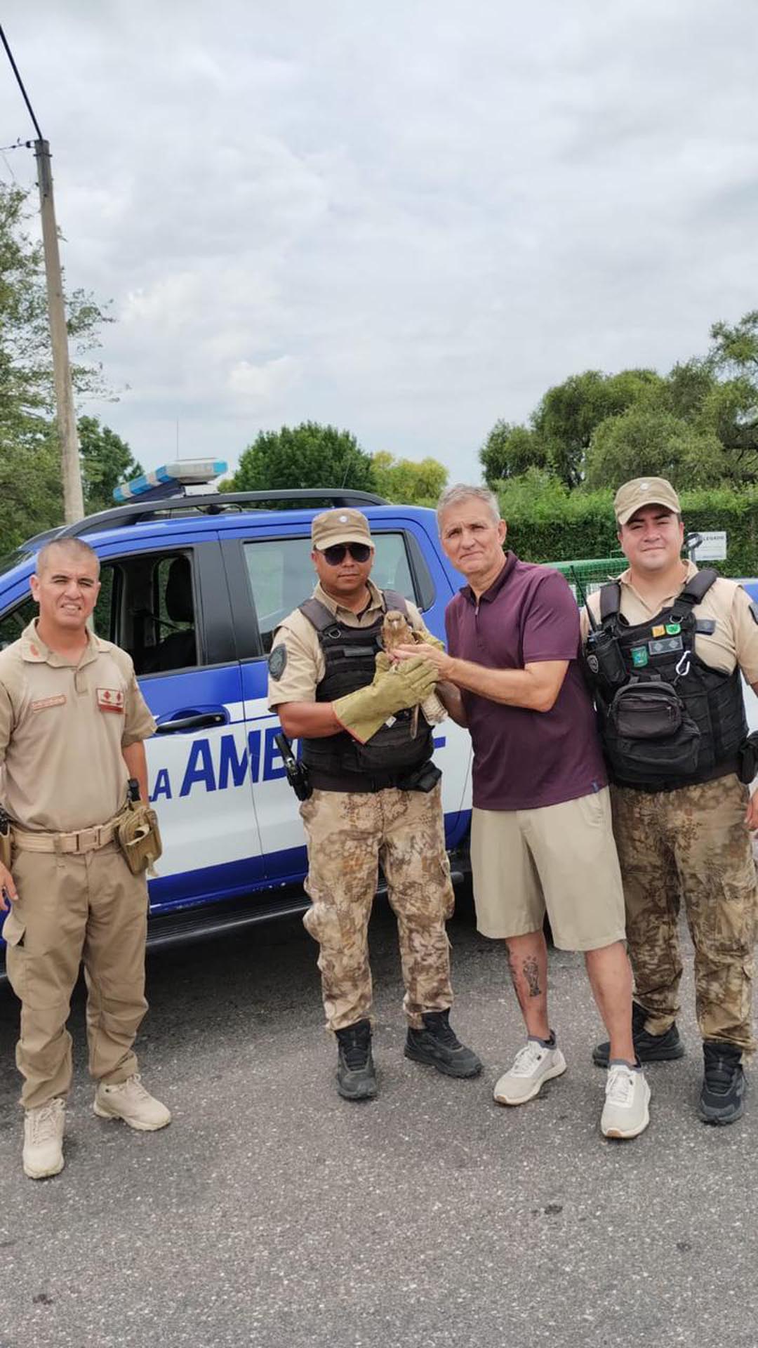 El chimango, después de ser rescatado y evaluado (Policía de Córdoba)