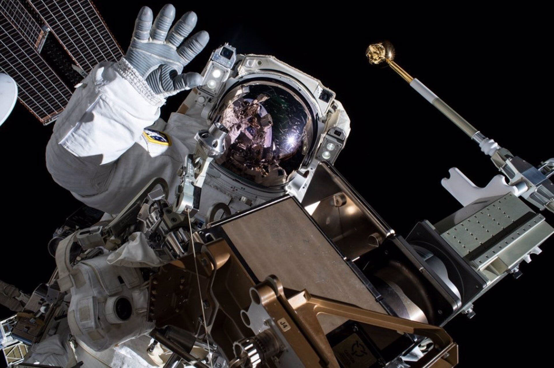 La microgravedad modificó la velocidad y la dinámica de infección entre bacterias E coli y el fago T7 (NASA)