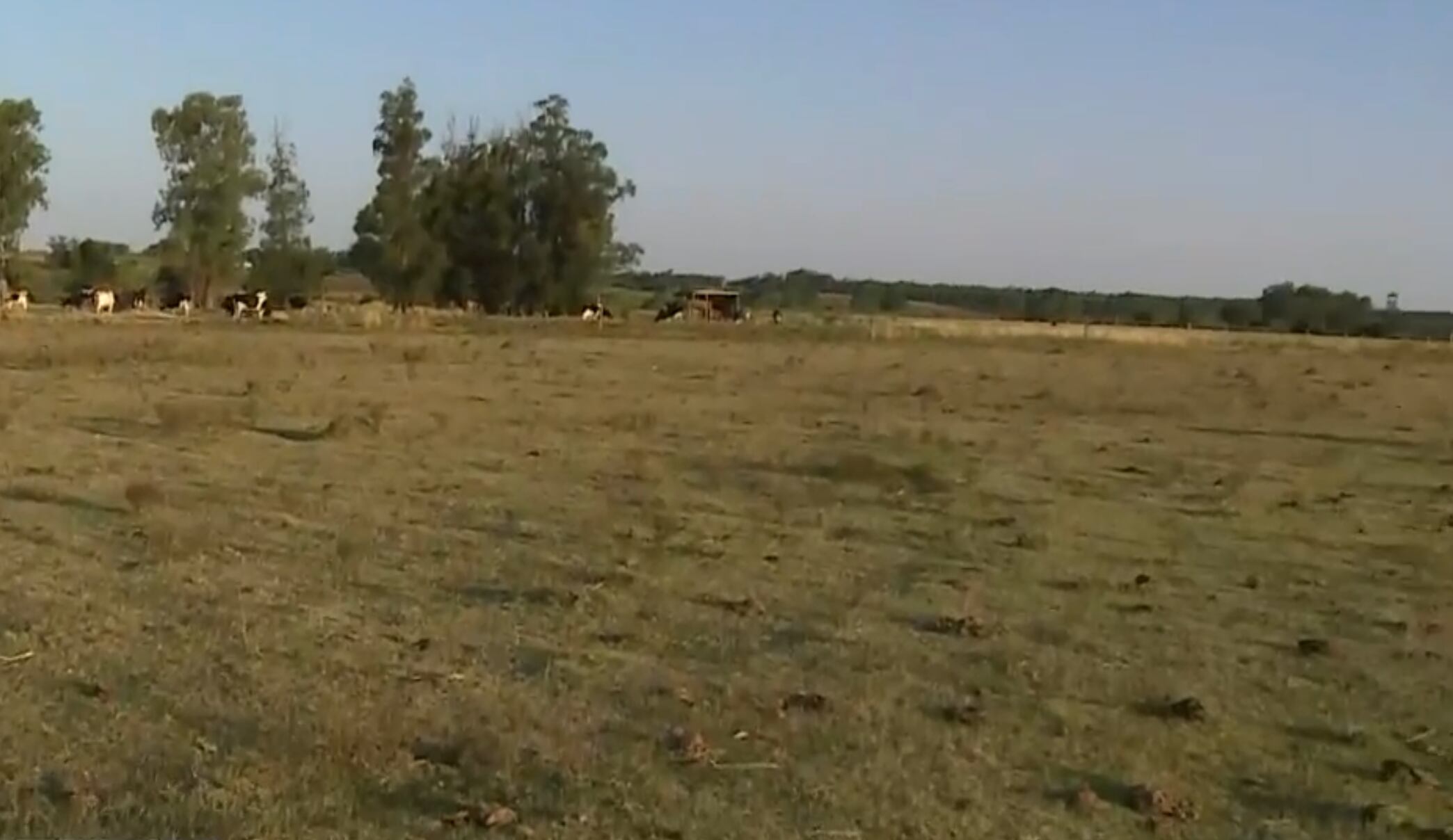 Productores alertan por déficit hídrico en Uruguay (Captura Telenoche/Canal 4)