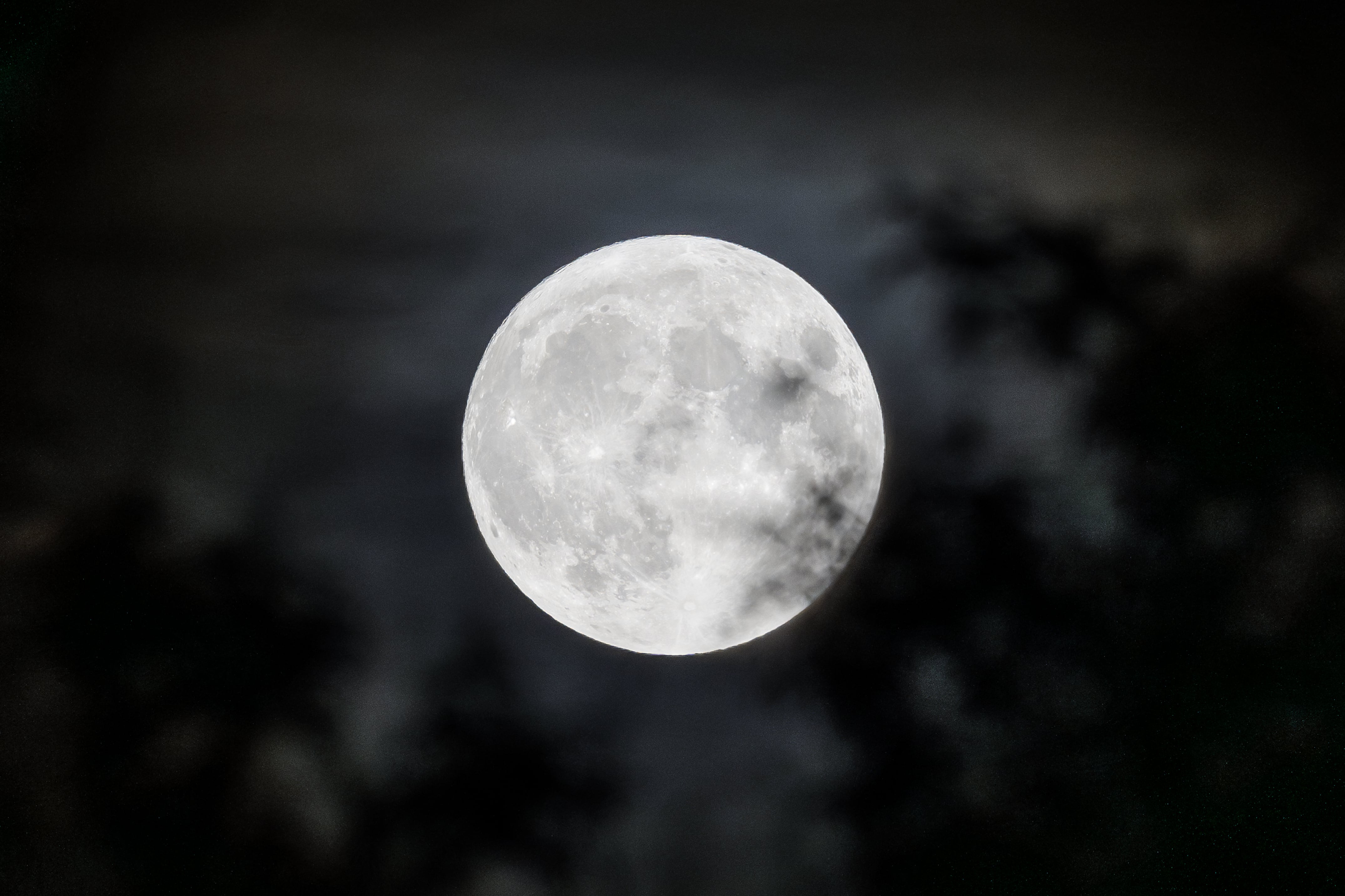 La primera superluna del año, conocida como Luna del Lobo, será visible este sábado en Argentina y en gran parte del mundo
Diego Radamés / Europa Press 