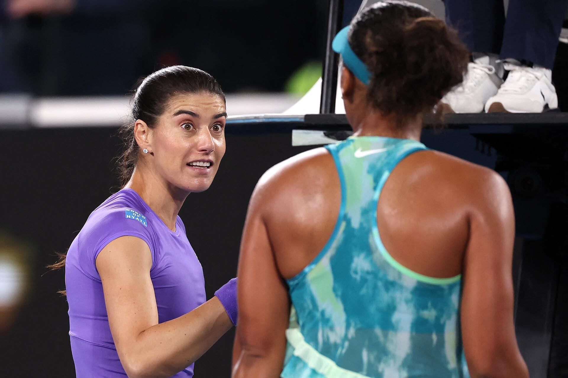 Cirstea le recriminó su actitud tras el saludo final (AFP)
