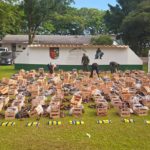 Traficaban 31 kilos de cocaína ocultos en cajones de berenjenas en Salta