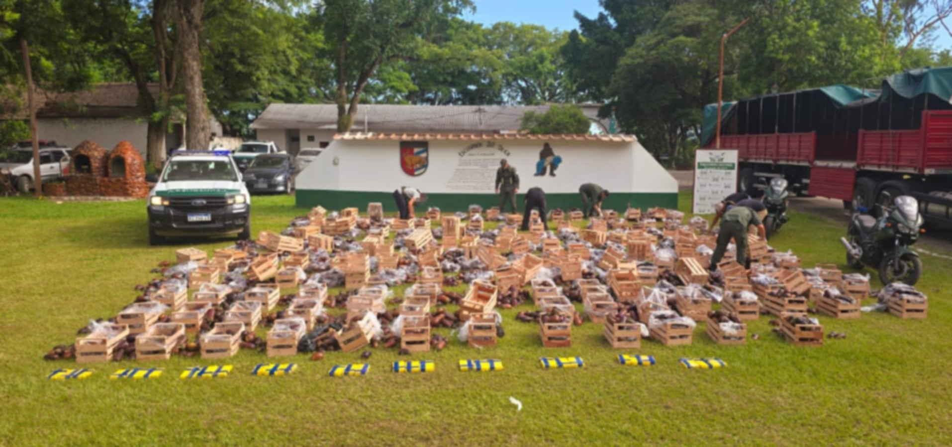 Traficaban 31 kilos de cocaína ocultos en cajones de berenjenas en Salta