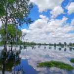 Tras las intensas lluvias, las crecidas de los ríos en Salta dejaron rutas cortadas y calles anegadas