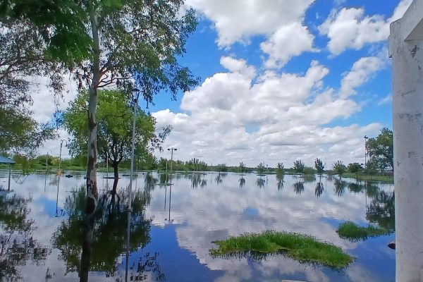 Tras las intensas lluvias, las crecidas de los ríos en Salta dejaron rutas cortadas y calles anegadas