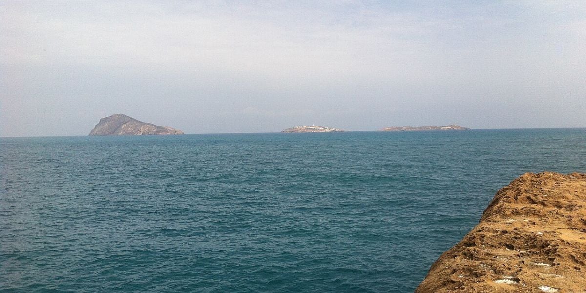 La gestión conjunta permite que la vida silvestre prospere sin injerencias externas, mientras los estudios científicos y la vigilancia militar mantienen el equilibrio de este territorio estratégico en la frontera africana
(foto: Wikipedia)